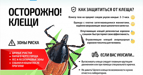 Берегитесь клещей!